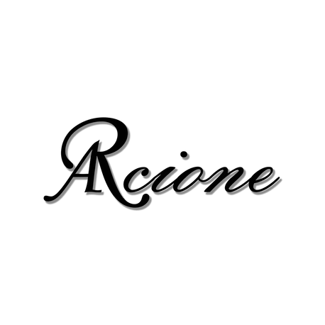 logo Arcione